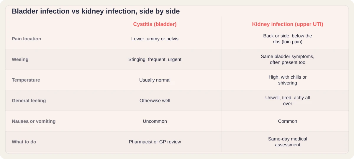 Comparison table: cystitis bladder infection symptoms versus kidney infection upper UTI symptoms, covering pain location, temperature, general feeling, nausea and urgency