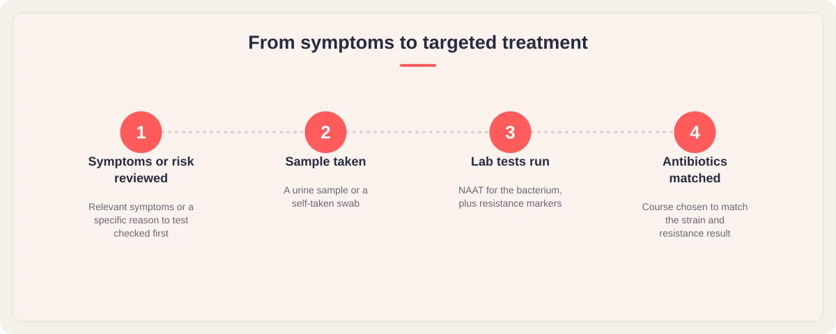 Four-step graphic: symptoms or risk reviewed, sample taken, lab tests for the bacterium and resistance markers, targeted antibiotics chosen