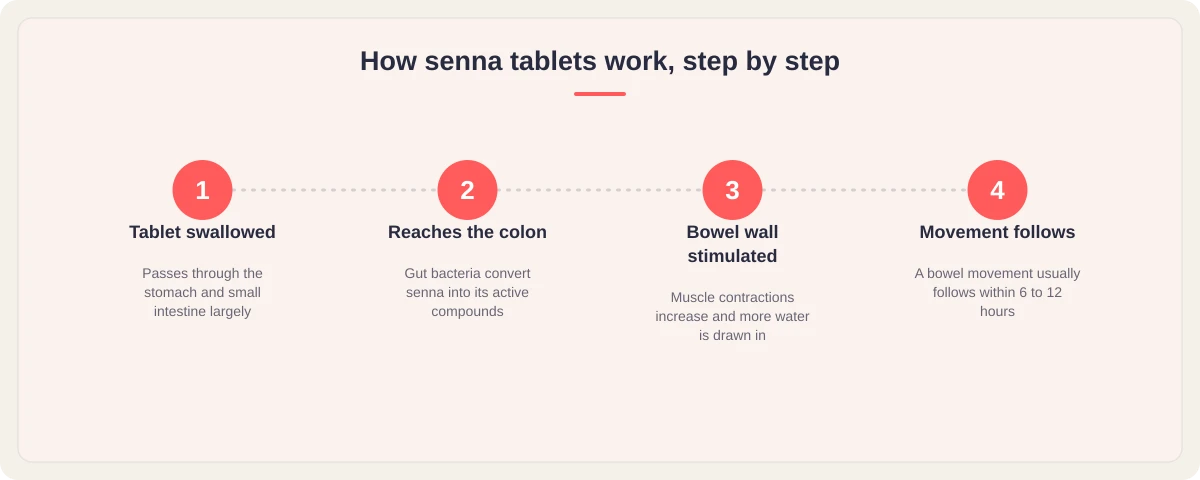 How senna tablets work: tablet swallowed, reaches the colon, bowel wall stimulated, bowel movement follows within 6 to 12 hours