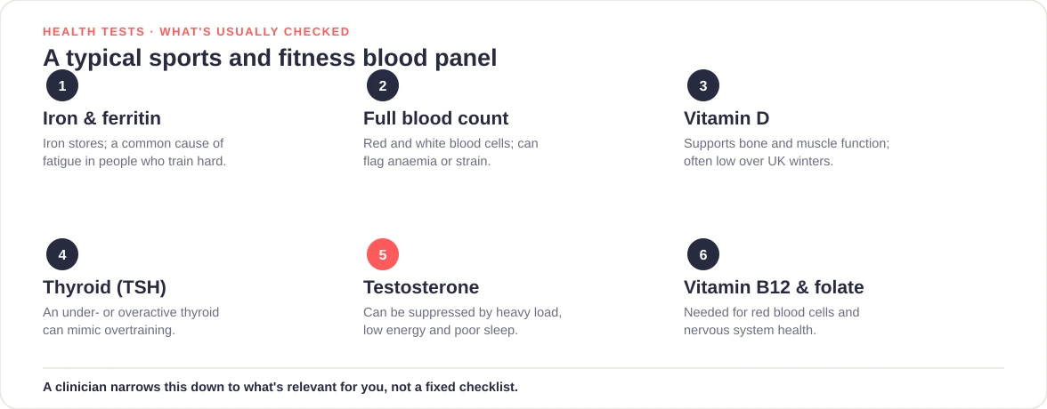 Sports and fitness blood test panel: iron and ferritin, full blood count, vitamin D, thyroid function, testosterone, vitamin B12 and folate