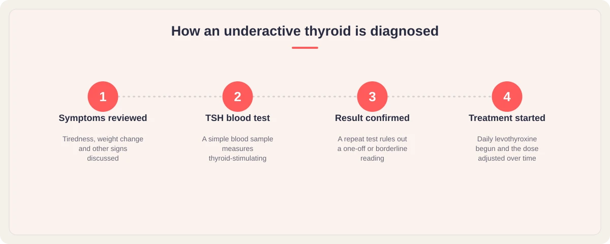 How an underactive thyroid is diagnosed: symptoms reviewed, TSH blood test, result confirmed, treatment started