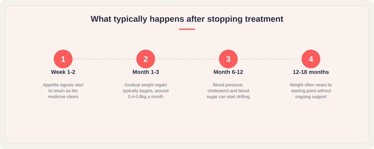 Timeline of what typically happens after stopping weight-management treatment, from appetite returning within weeks to weight often nearing its starting point after 12 to 18 months